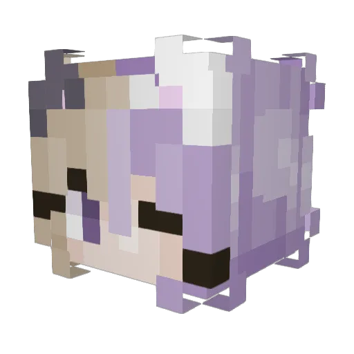 Pipiri Minecraft avatar head, 3D render