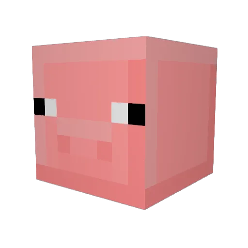 Piplup88888 Minecraft avatar head, 3D render