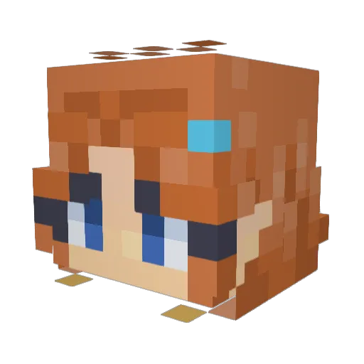 PiplupKing13 Minecraft avatar head, 3D render