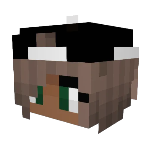 Pipocris Minecraft avatar head, 3D render