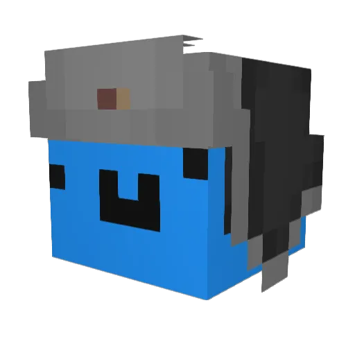 Pipoo14 Minecraft avatar head, 3D render