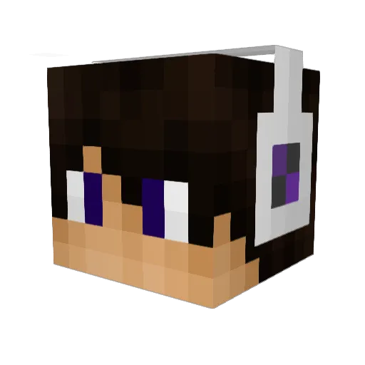 Pipooca Minecraft avatar head, 3D render