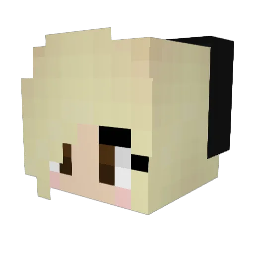 Pippi44 Minecraft avatar head, 3D render