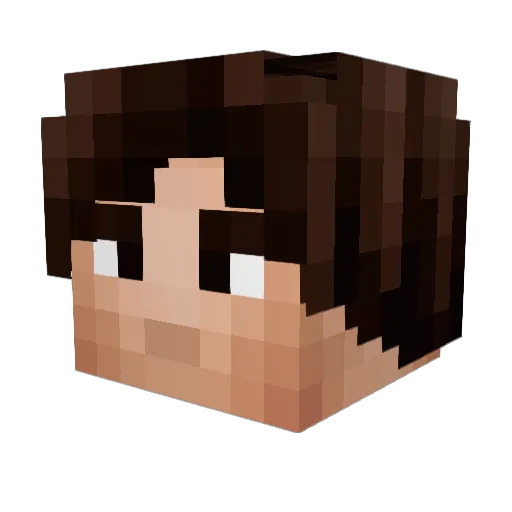 Pippin_The_Great Minecraft avatar head, 3D render