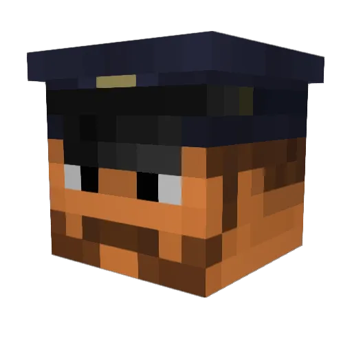 Pippippipvk Minecraft avatar head, 3D render