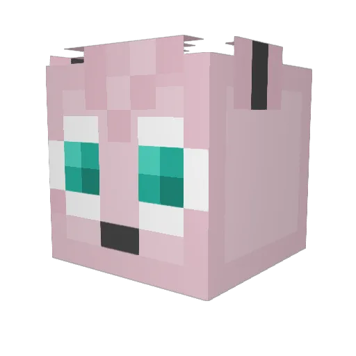 Pipples Minecraft avatar head, 3D render