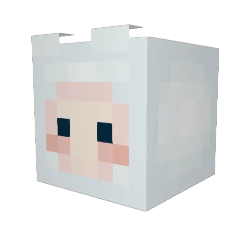 PippyPoppy40 Minecraft avatar head, 3D render