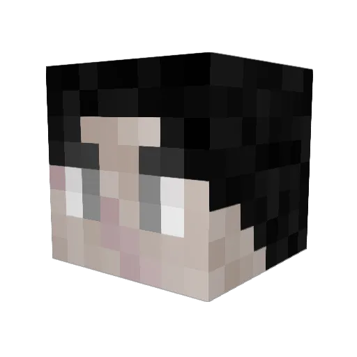 Pipsqueak_Puncha Minecraft avatar head, 3D render