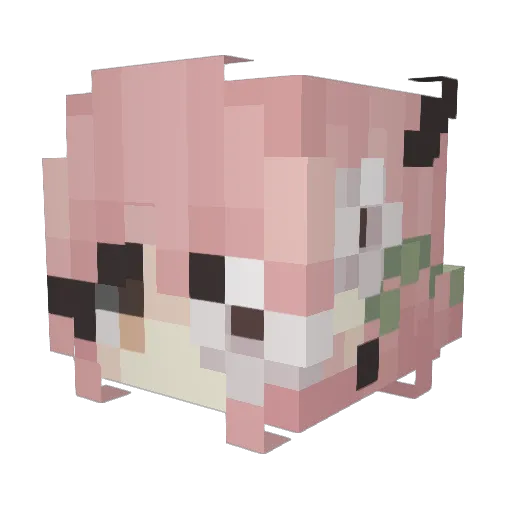 Pipsquiik Minecraft avatar head, 3D render