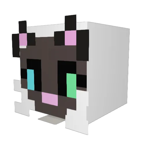 PipyTheCat220 Minecraft avatar head, 3D render