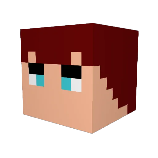 Pira31 Minecraft avatar head, 3D render