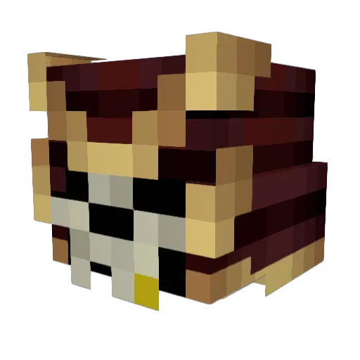 Pirat_Skull Minecraft avatar head, 3D render