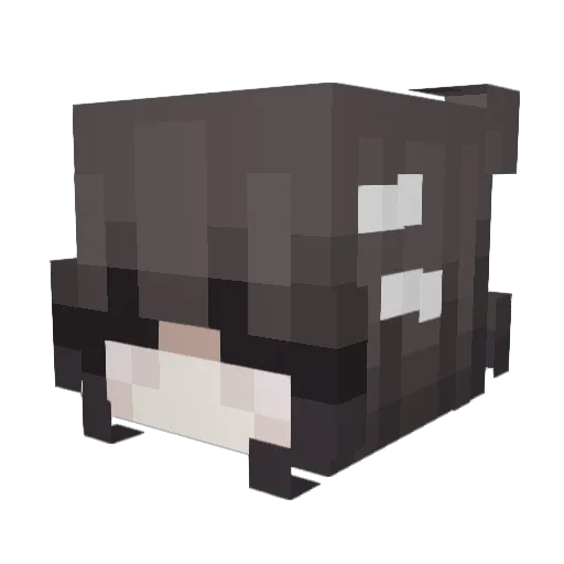 Pirate Minecraft avatar head, 3D render