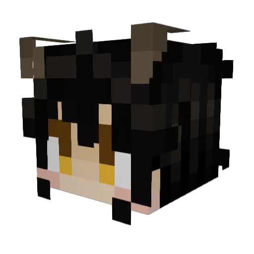 PirateCForce Minecraft avatar head, 3D render