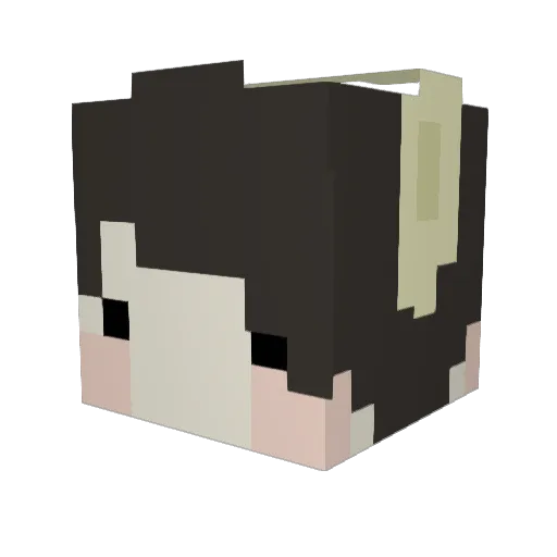 PirateCatPerry Minecraft avatar head, 3D render
