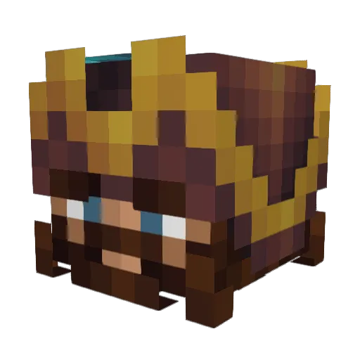 PirateCraft Minecraft avatar head, 3D render