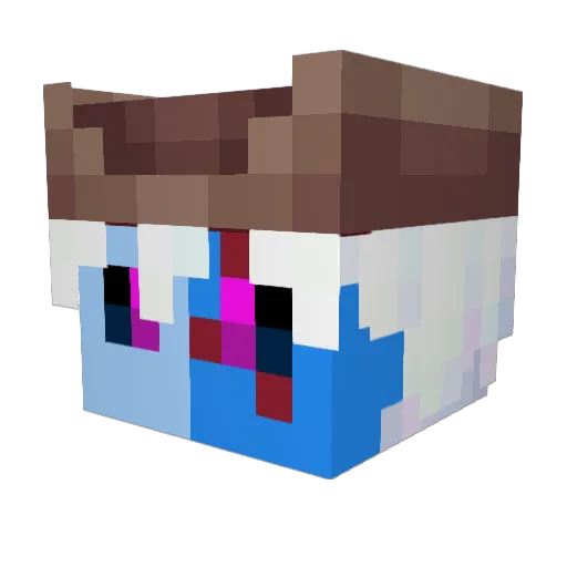 PirateJAC Minecraft avatar head, 3D render