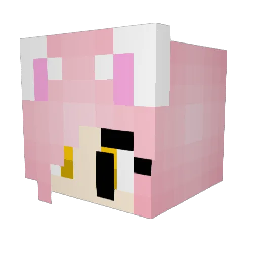 PirateMangle Minecraft avatar head, 3D render