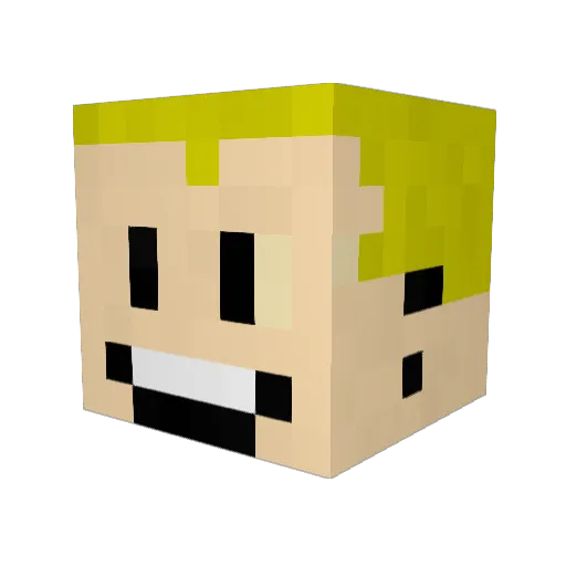 PirateNixon Minecraft avatar head, 3D render