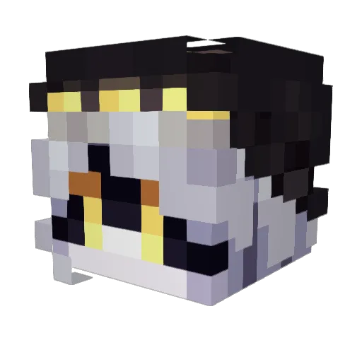 PirateRaph Minecraft avatar head, 3D render