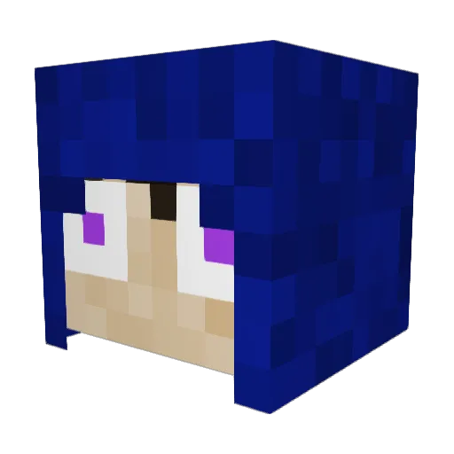 Pirate_Patch Minecraft avatar head, 3D render