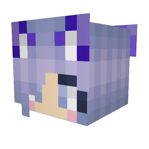 Piratearmygamer Minecraft avatar head, 3D render