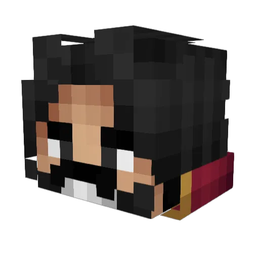 Pirateking260 Minecraft avatar head, 3D render