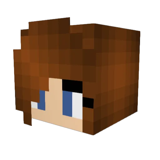 Piratenschatz Minecraft avatar head, 3D render