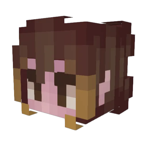 Pirealta Minecraft avatar head, 3D render