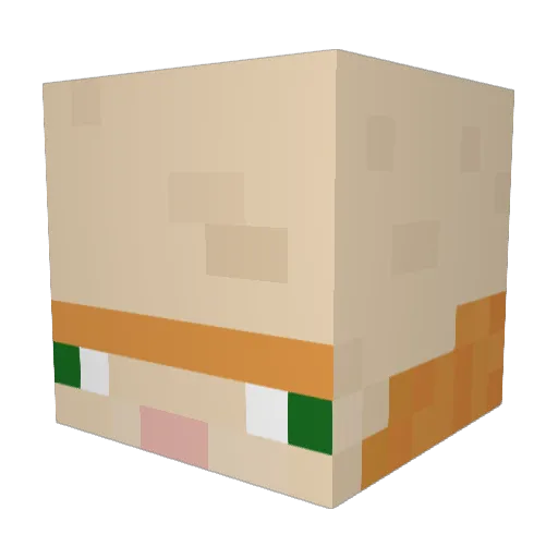 PirlonMackhardt Minecraft avatar head, 3D render