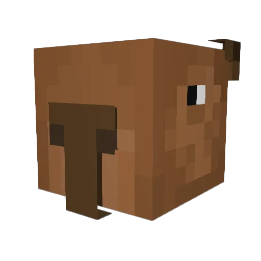 Piscase_ Minecraft avatar head, 3D render