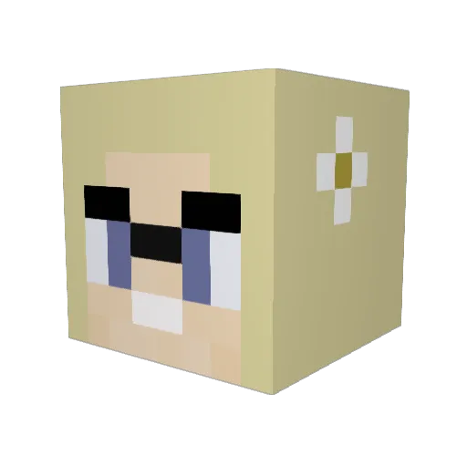 PiscesGal95 Minecraft avatar head, 3D render