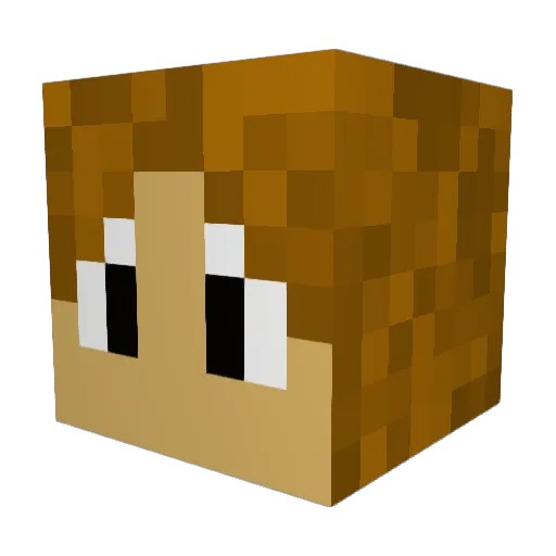 Piscie25 Minecraft avatar head, 3D render