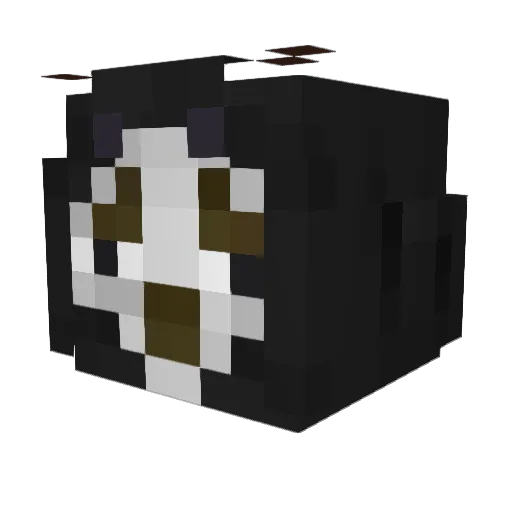 Pisdaboll Minecraft avatar head, 3D render