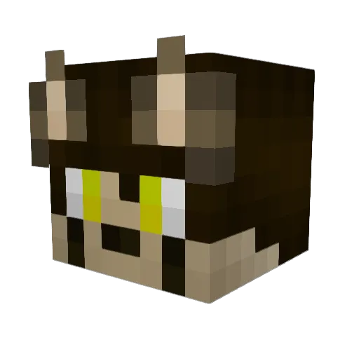 PishiCrafter Minecraft avatar head, 3D render