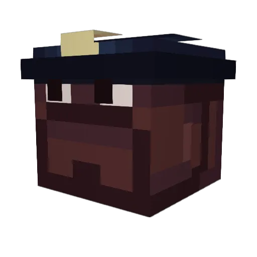 PiskaStroy14 Minecraft avatar head, 3D render
