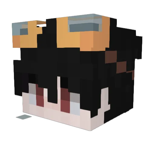 Piskas_ Minecraft avatar head, 3D render