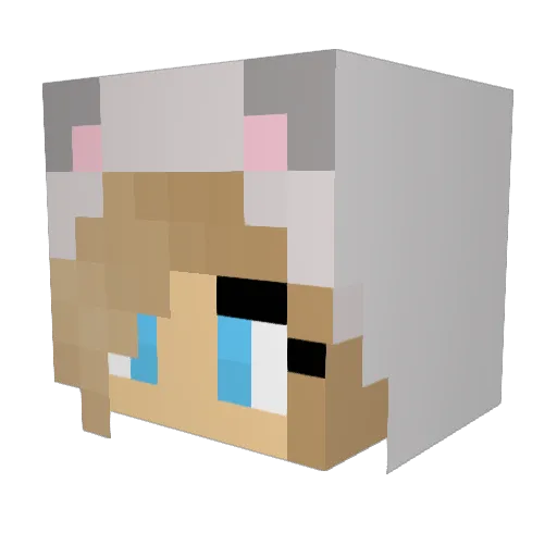 Pismo22 Minecraft avatar head, 3D render