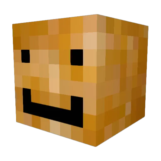PistachioCat19 Minecraft avatar head, 3D render