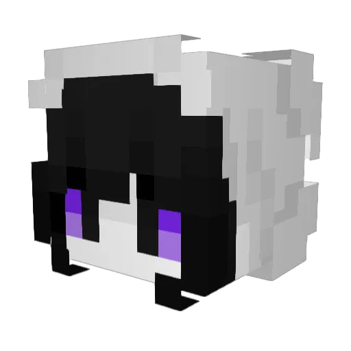 Pit41_ Minecraft avatar head, 3D render