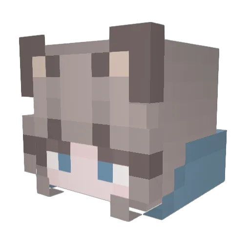 Pitbylka1 Minecraft avatar head, 3D render