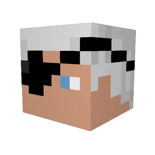 PiterFoxy_Nb Minecraft avatar head, 3D render
