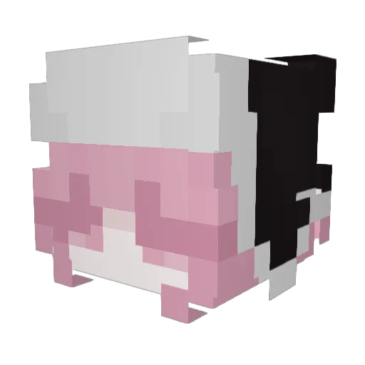 PiterJuan Minecraft avatar head, 3D render
