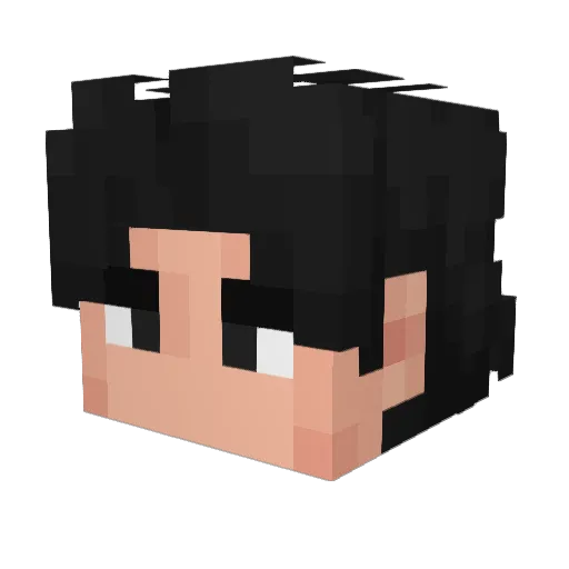 Pitex891 Minecraft avatar head, 3D render