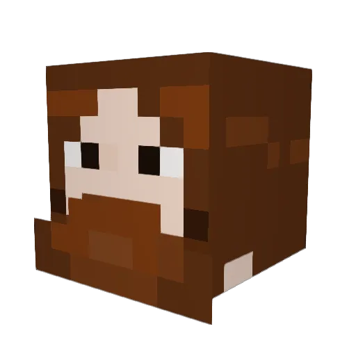 Piti2007 Minecraft avatar head, 3D render