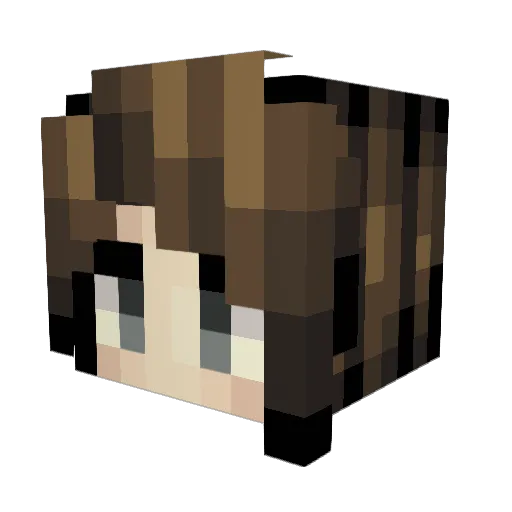 Pitis Minecraft avatar head, 3D render