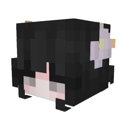 Pitohuiil Minecraft avatar head, 3D render