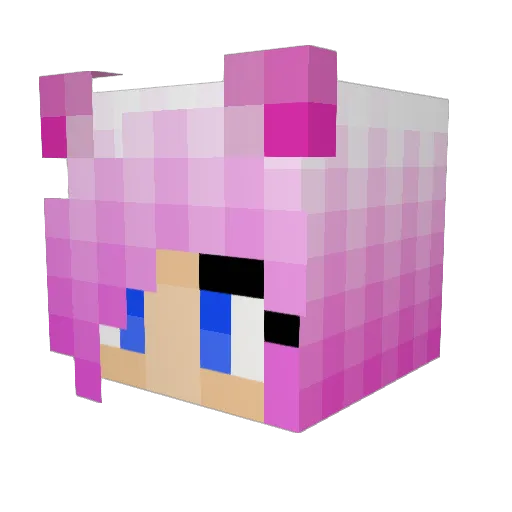 Pitti_Platsch3 Minecraft avatar head, 3D render