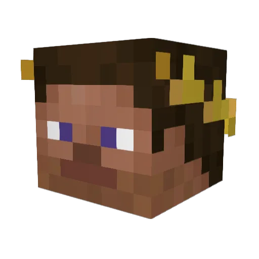 PittigBoekje Minecraft avatar head, 3D render