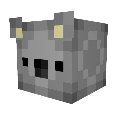 PittigeKoala Minecraft avatar head, 3D render